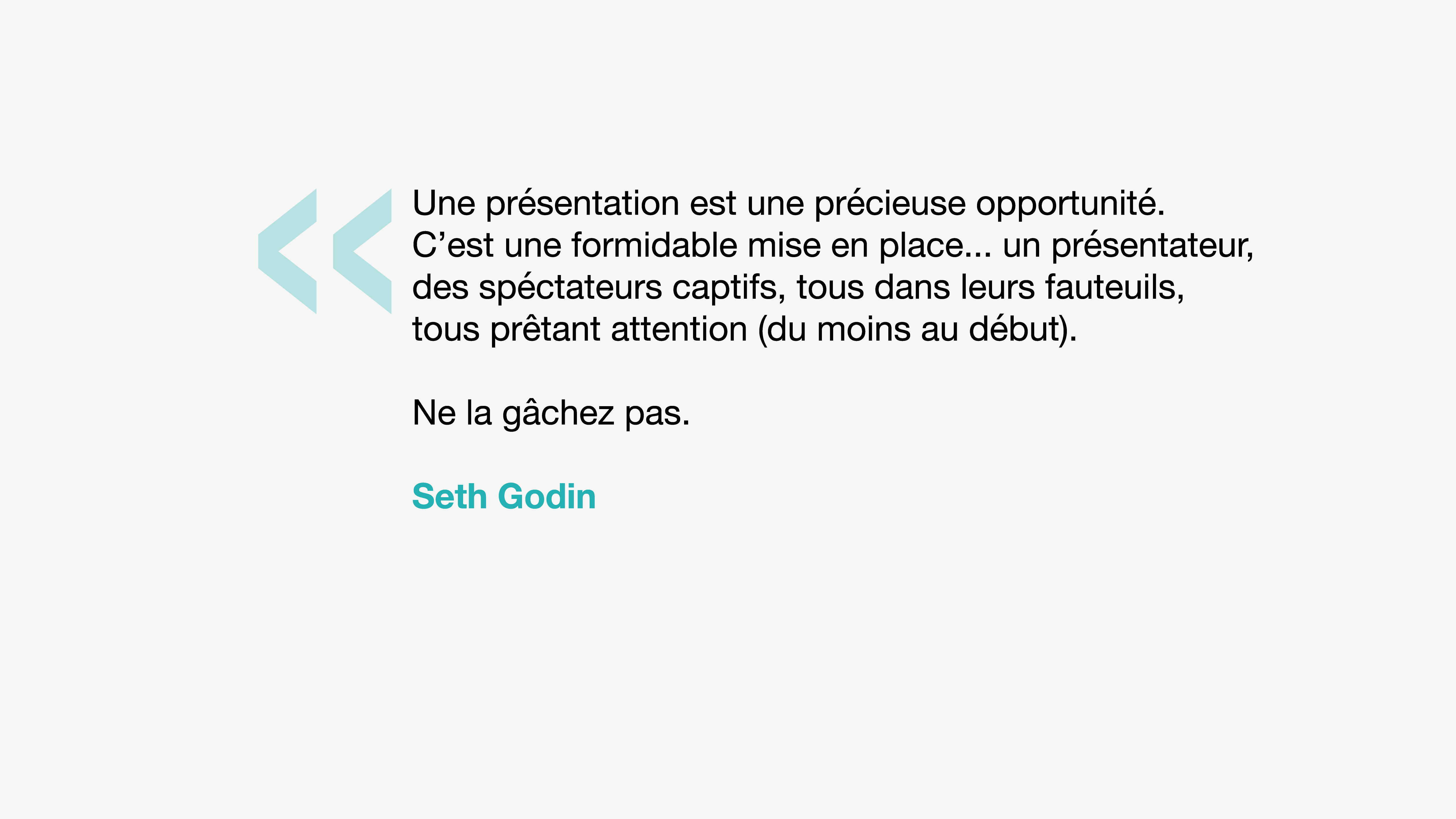 Citation Seth Godin 01